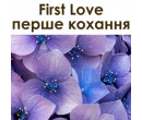 First Love