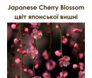 Japanese Cherry Blossom