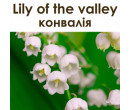 Lily of the valley