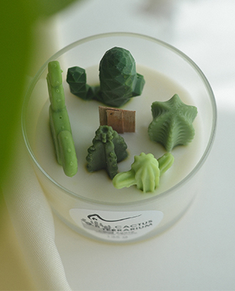 Свічка "Cactus terrarium" Cactus & Sea Salt (кактус і морська сіль), 135г