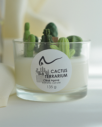 Свічка "Cactus terrarium" Citrus Agave (Агава цитрусова),135г