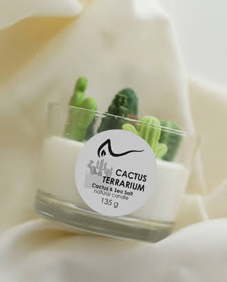 Свічка "Cactus terrarium" Cactus & Sea Salt (кактус і морська сіль), 135г